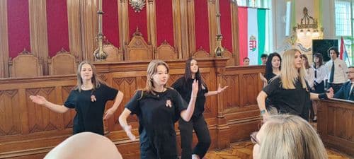 A Közgazdasági technikum  tizenharmadikosok egy Flash Mob - bal lepték meg a közönséget