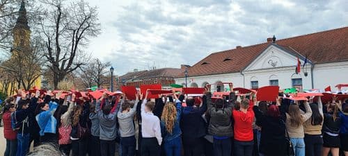 A Közgazdasági technikum  tizenharmadikosok egy Flash Mob - bal lepték meg a közönséget